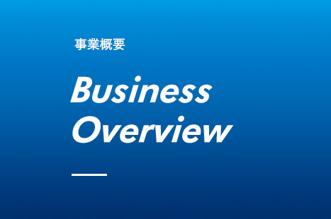 Business Overview